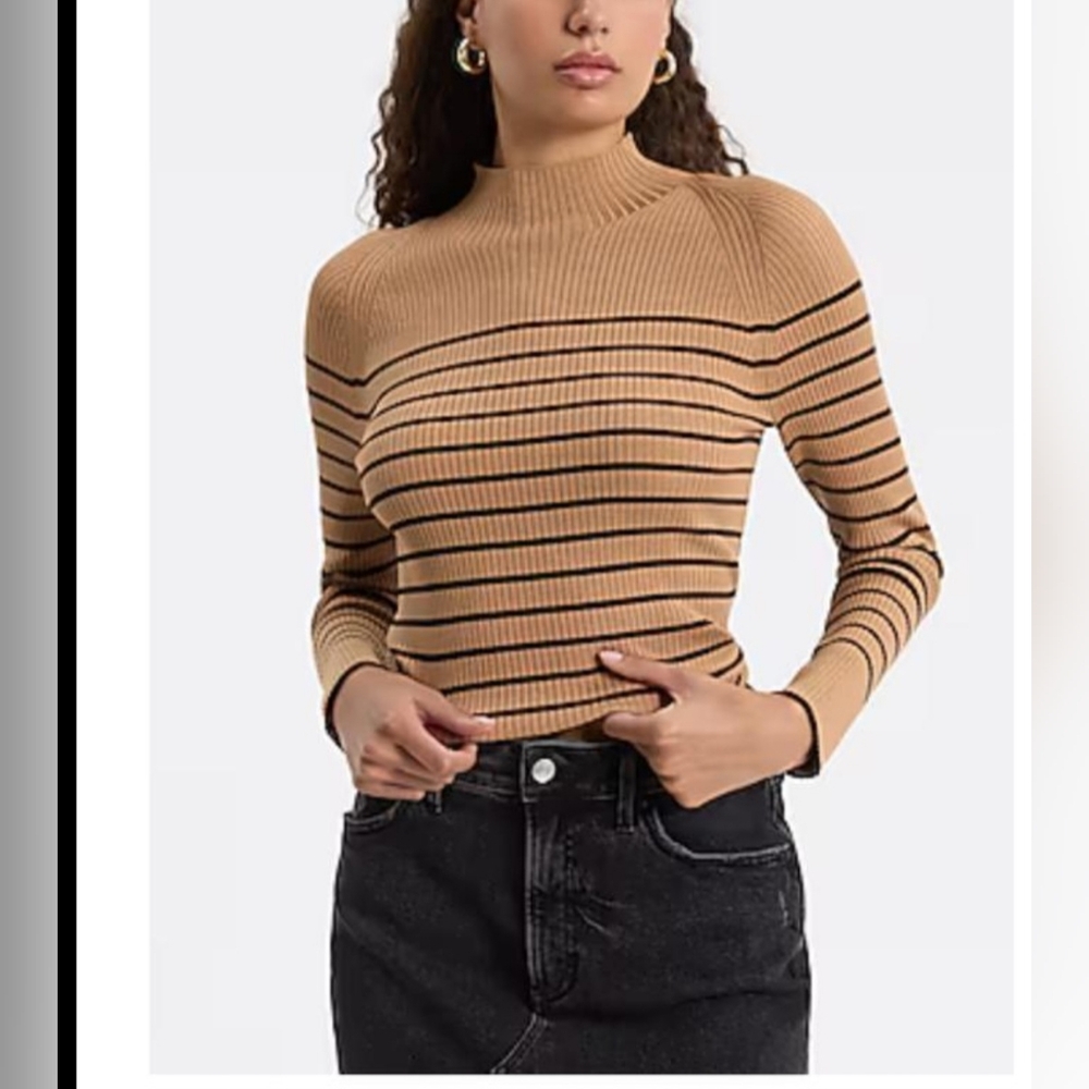 Express Fitted Striped Ribbed Mock Neck Sweater Size S